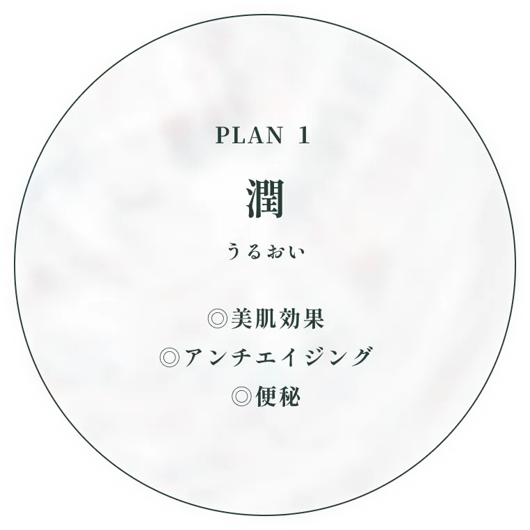 PLAN 1 潤