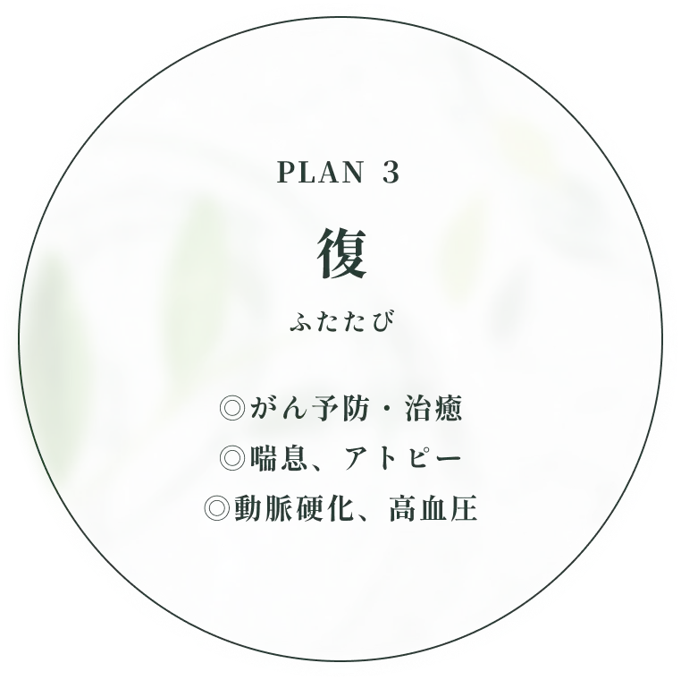 PLAN 3 復